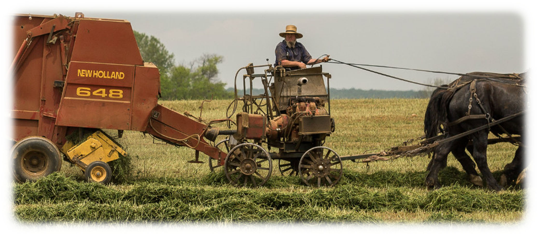 Man atop horse-drawn farm machinery in countryside